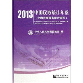 2013中国民政统计年鉴(中国社会服务统计资料)