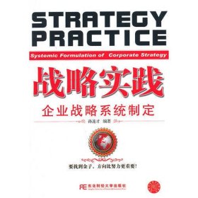战略实践：企业战略系统制定