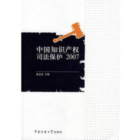 中国知识产权司法保护2007