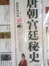唐朝宫廷秘史（上下册）