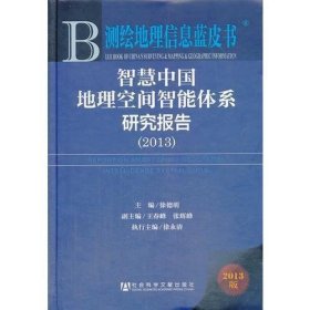 智慧中国地理空间智能体系研究报告（2013）