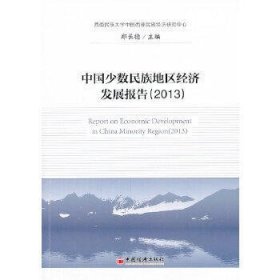 中国少数民族地区经济发展报告(2013)