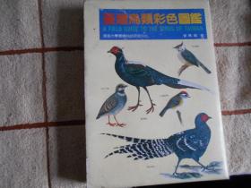 台湾鸟类彩色图鉴