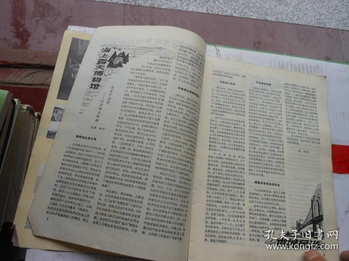 e93351fbd281eec0_b.jpg