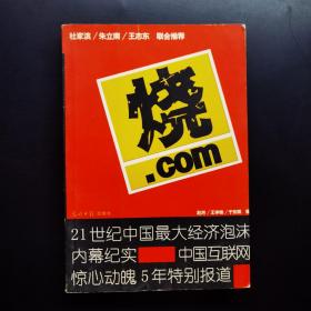 烧.com：21世纪中国最大经济泡沫内幕纪实
