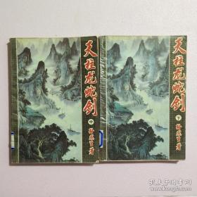 天柱龙蛇剑.中下