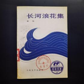 長河浪花集