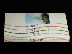 上海大型市政工程设计与施工丛书：桥梁工程