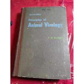 Principles Animal Virology 动物病毒学原理 【英文版精装】Seco