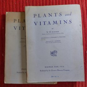 Plants and Vitamins