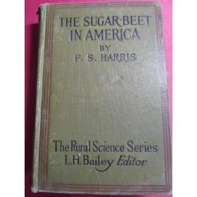 The Sugar-beet in America【金陵大学馆藏书】
