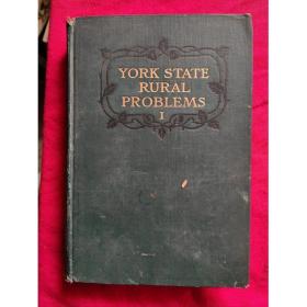 York State Rural Problems 1【民国金陵大学馆藏】