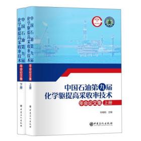 中国石油第九届化学驱提高采收率技术年会论文集（上下册）