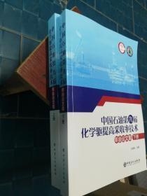 中国石油第九届化学驱提高采收率技术年会论文集 （上下册）