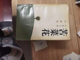 苦菜花