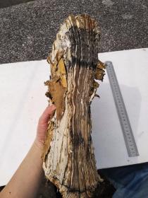 道光癸已年募刻，金刚经直解，此本是众人募化，精心刻成，后有募化人姓名，有缘人请回家保平安，功德随缘