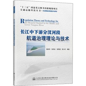 长江中下游分汊河段航道治理理论与技术
