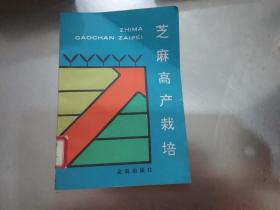 趣味代数学