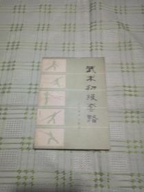 武术初级套路