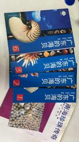 广东的海贝 1,2,3,6 + 南海珍珠传奇
