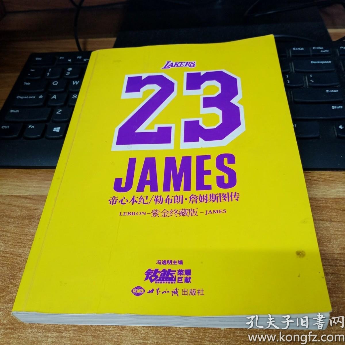 帝心本纪:勒布朗·詹姆斯图传