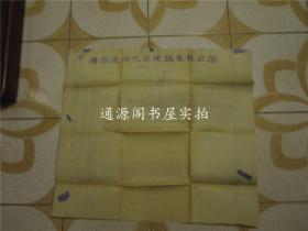 广西象州大乐泥盆系柱状图(68x60cm)