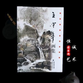 中国当代实力派山水画家 王中年画集 国画山水临摹  8开画册
