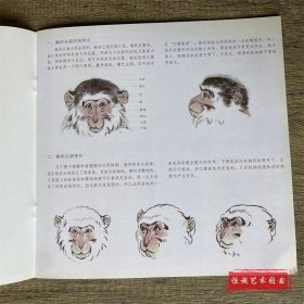 学画宝典 猴 中国画技法/陈增胜/写意动物初学入门教程教材步骤图