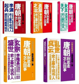 唐朝到底是怎么回事（1-5册   全5册）：李渊起兵、贞观之治、女主天下、玄宗盛世、乱世风云（5本合售）