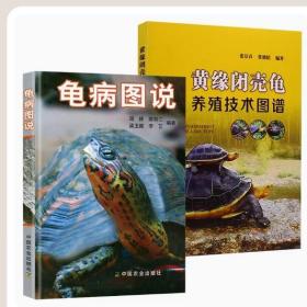 【原版闪电发货】养龟书籍2册 龟病图说黄缘闭壳龟养殖技术图谱乌龟甲鱼水产龟鳖高效养殖技术书龟肠胃炎龟病防治龟类图鉴养好龟蛋龟金钱龟饲养手册
