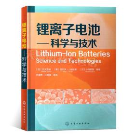 【原版闪电发货】图书 锂离子电池 科学与技术 锂离子电池材料 生产工艺 应用及市场 锂离子电池市场应用深入分析 聚合物电解质与电池