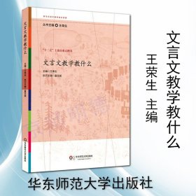 【原版闪电发货】文言文教学教什么 王荣生 主编 书籍 中小学语文教师培训资源丛书 教育理论书籍 语文教师综合性用书 华东师范大学出版社