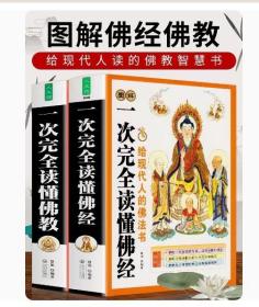 【闪电发货】正版全2册 图解一次完全读懂佛法+佛经 学佛经佛学佛学入门基础知识 金刚经心经坛经楞严经学禅宗论无量寿经法华经华严经心经书籍