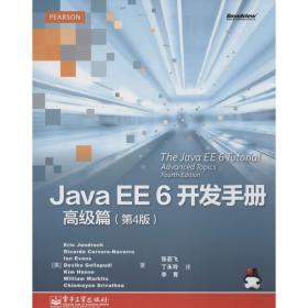 Java EE6开发手册（D4版）（高级篇）