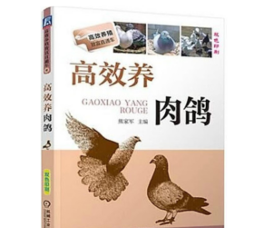 鸽子养殖技术大全肉鸽养殖乳鸽养殖鸽病防治技术7视频3书籍