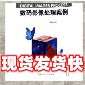世界名著儿童版：钢铁是怎样炼成的 施仲杰 9787535337184 湖北少