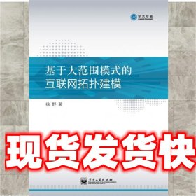 基于大范围模式的互联网拓扑建模 徐野 电子工业出版社