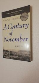 【英文原版】（Michigan Literary Fiction Awards）A Century of November: A Novel