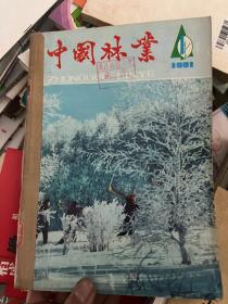 中国林业 1981 1-12期&农业