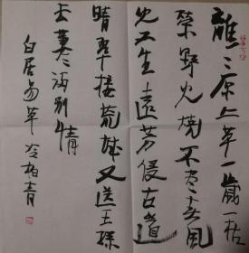 四川省诗书画院副院长冷柏青平尺书法一幅(07保真)￥888.