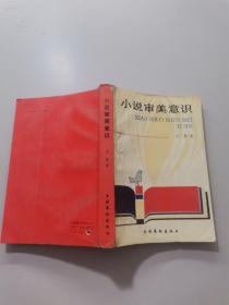 小说审美意识