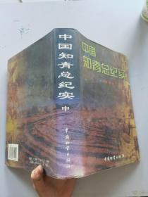 中国知青总纪实 中
