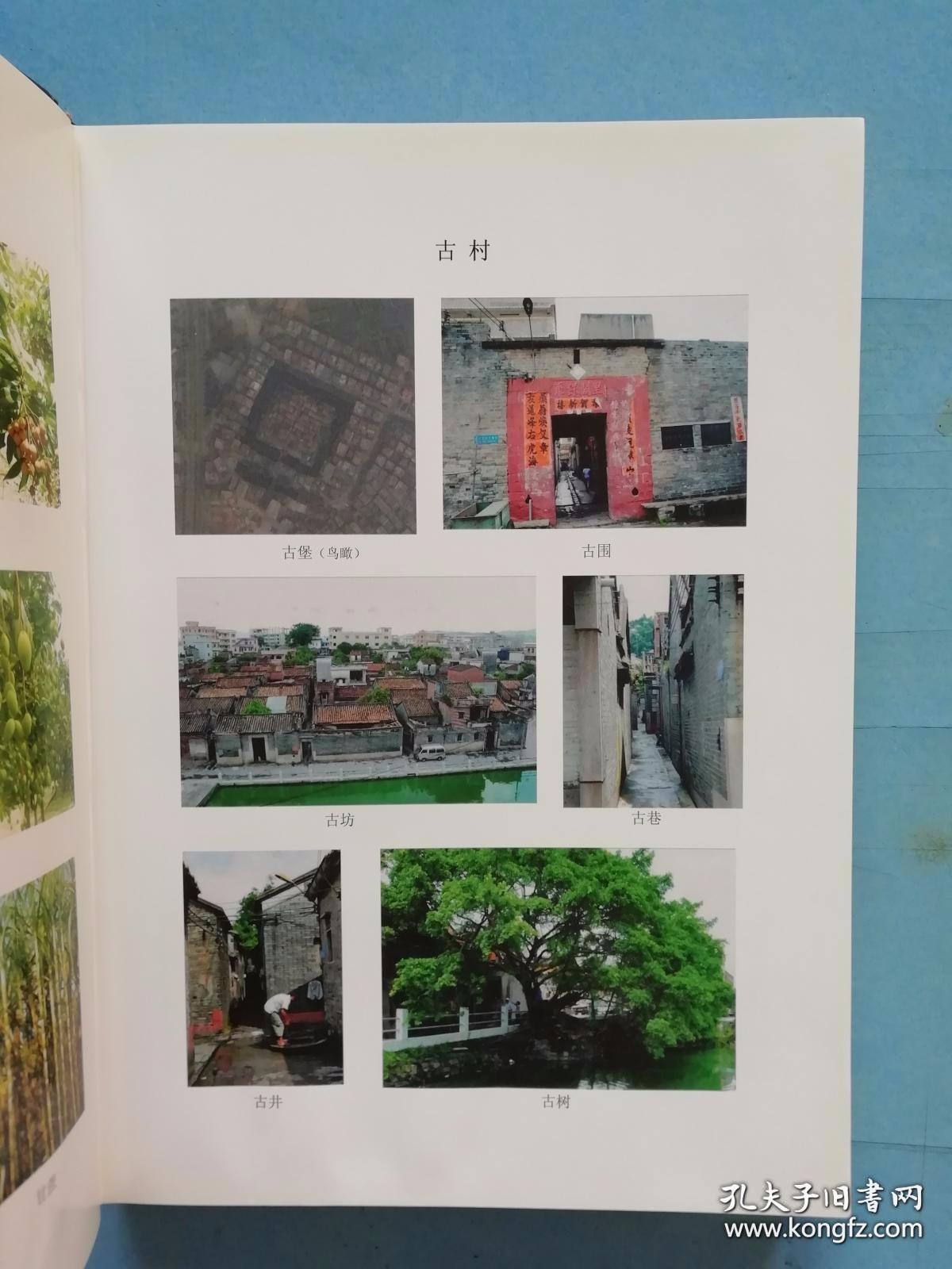 东莞市虎门镇白沙村志