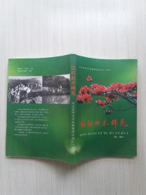 红红的木棉花——纪念昆明知青赴橄榄坝农场五十周年(续)