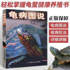 【原版闪电发货】龟病图说（精装）乌龟养殖技术养龟养好宠物龟手绘图鉴乌龟大全李艺金钱龟安布闭壳龟金钱龟乌龟书籍