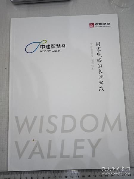 国家战略的长沙实践，中建智慧谷图册