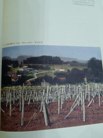 长沙天心区妙高峰，天一美术馆湖南女画家图集