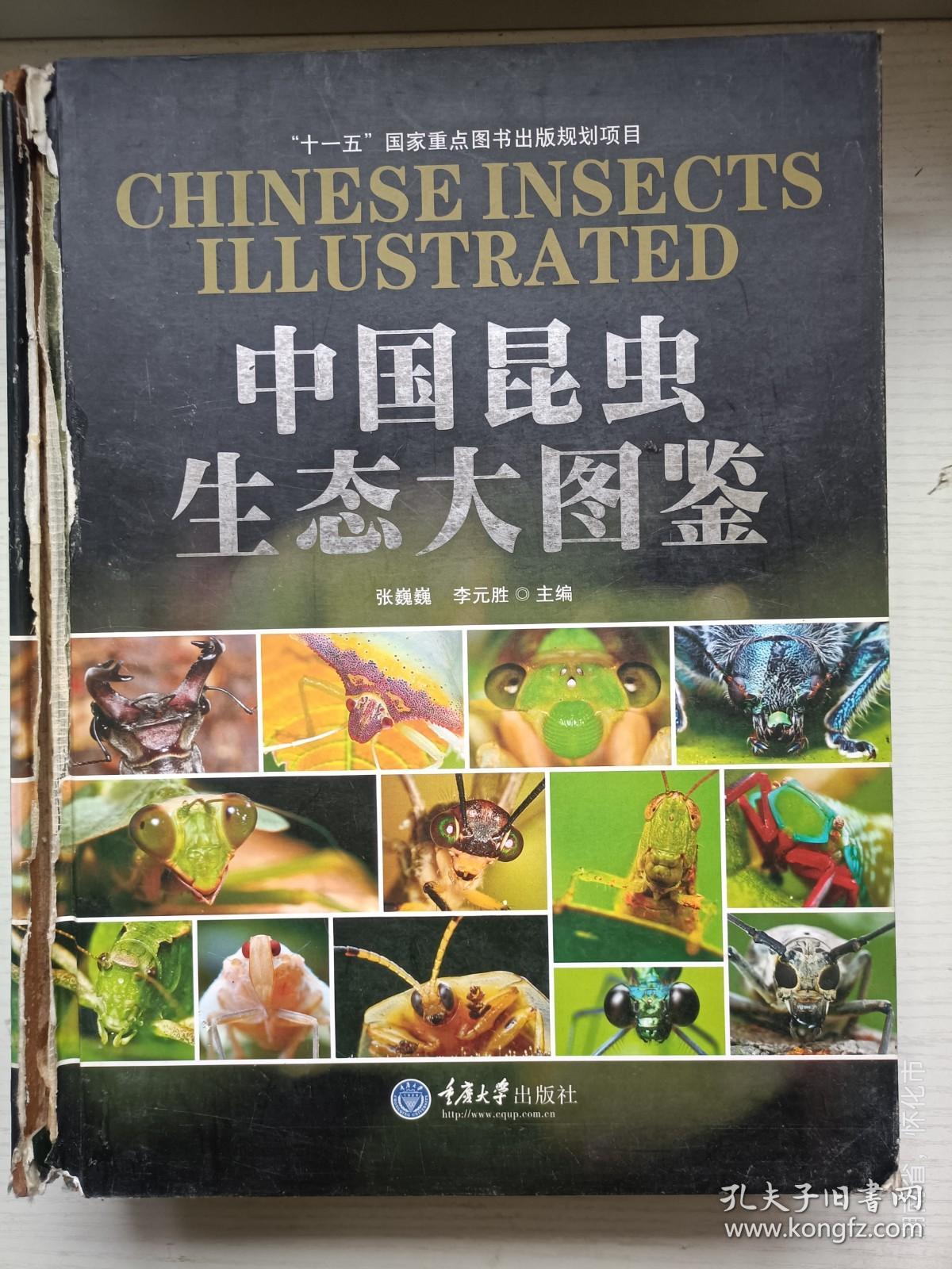 《虫语》：中国顶级昆虫摄影师唐志远镜头下的昆虫世界 - 知乎