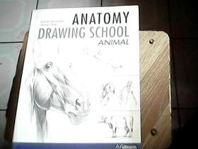 AnatomyDrawingSchool:Animal