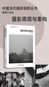 摄影再现与重构  中国当代摄影视野丛书